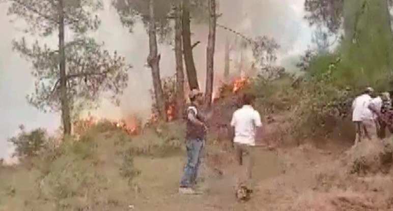 'A fierce fire broke out in the forest near the Line of Control in Mendhar Sector'
